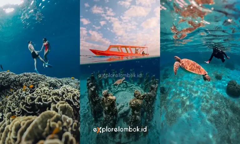 CORAL PATING PENYU