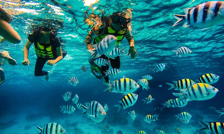 SNORKELING-1165